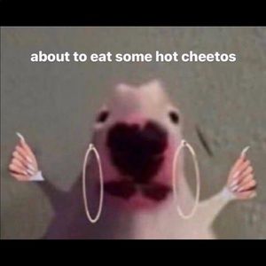 Meet your Posher, Loraine